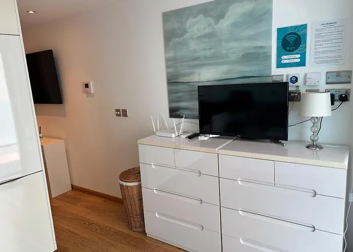 Pet Friendly hotel: Ocean Spa Plaza Studio Apartment